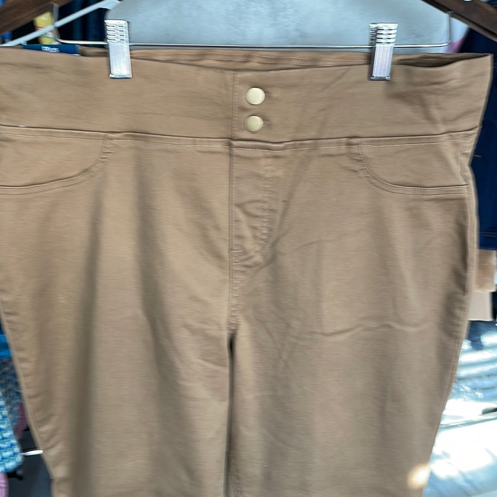 NWT Terra & Sky Jeggings